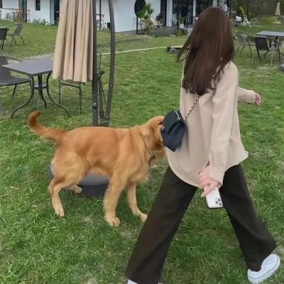 女司机